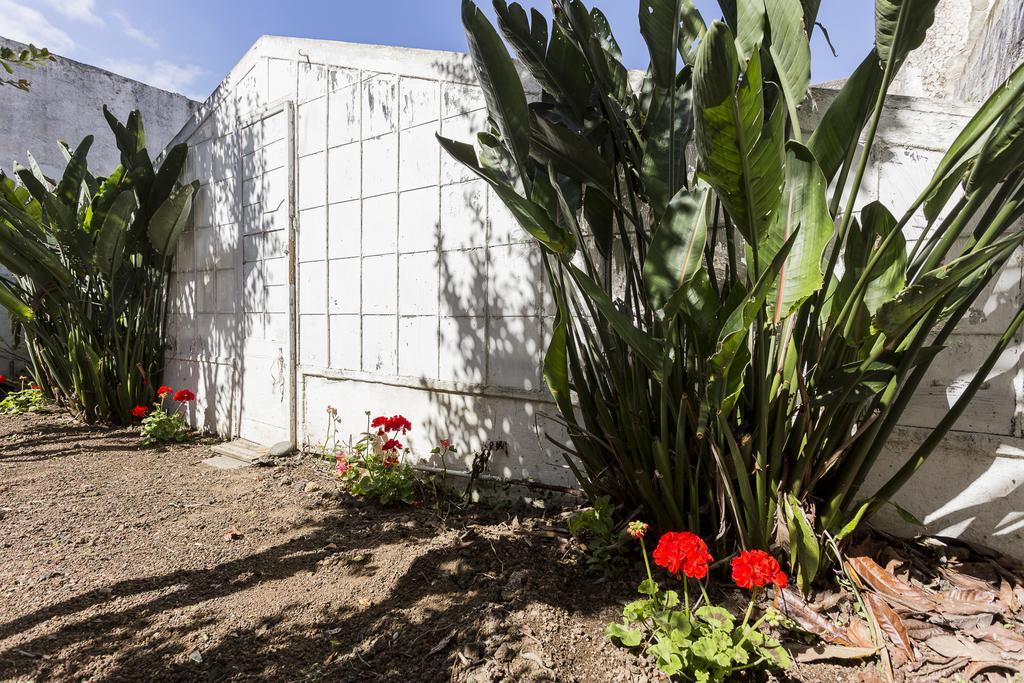 فيلا Family House Garden Ponta Delgada الغرفة الصورة